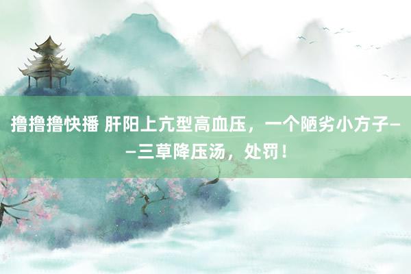 撸撸撸快播 肝阳上亢型高血压，一个陋劣小方子——三草降压汤，处罚！