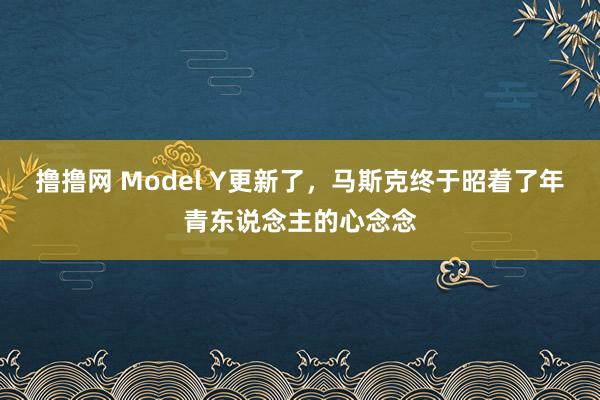 撸撸网 Model Y更新了，马斯克终于昭着了年青东说念主的心念念