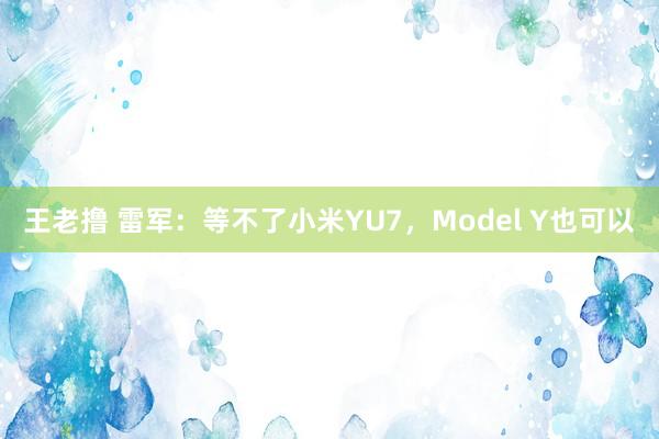 王老撸 雷军：等不了小米YU7，Model Y也可以