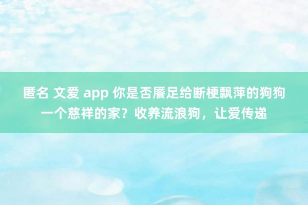 匿名 文爱 app 你是否餍足给断梗飘萍的狗狗一个慈祥的家？收养流浪狗，让爱传递