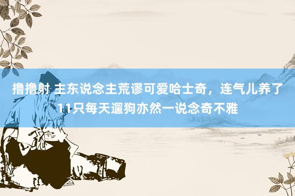 撸撸射 主东说念主荒谬可爱哈士奇，连气儿养了11只每天遛狗亦然一说念奇不雅