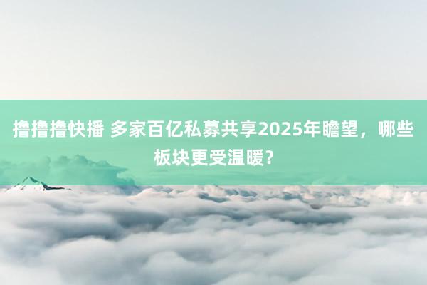 撸撸撸快播 多家百亿私募共享2025年瞻望，哪些板块更受温暖？