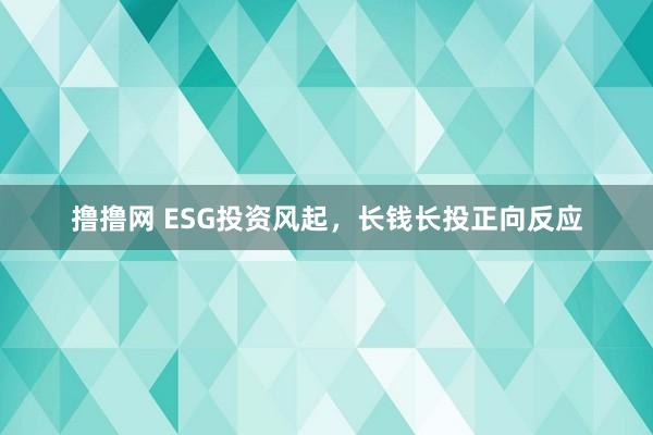 撸撸网 ESG投资风起，长钱长投正向反应