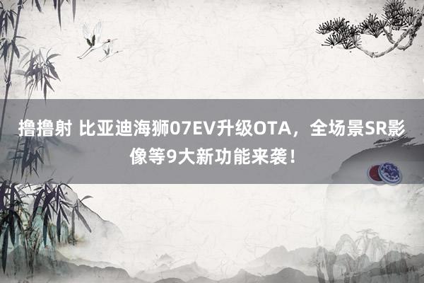 撸撸射 比亚迪海狮07EV升级OTA，全场景SR影像等9大新功能来袭！