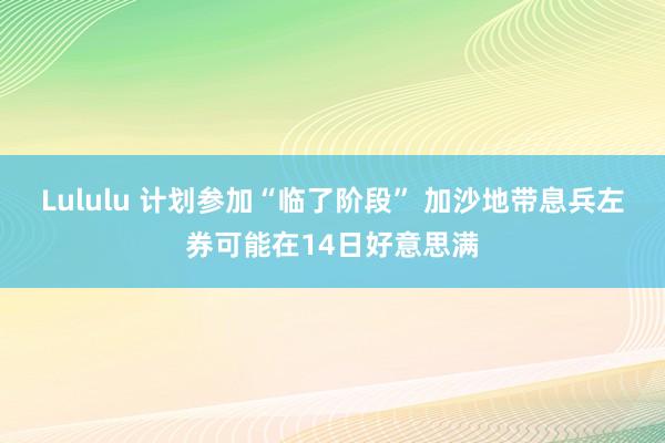 Lululu 计划参加“临了阶段” 加沙地带息兵左券可能在14日好意思满