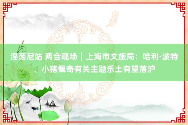 淫荡尼姑 两会现场｜上海市文旅局：哈利·波特、小猪佩奇有关主题乐土有望落沪