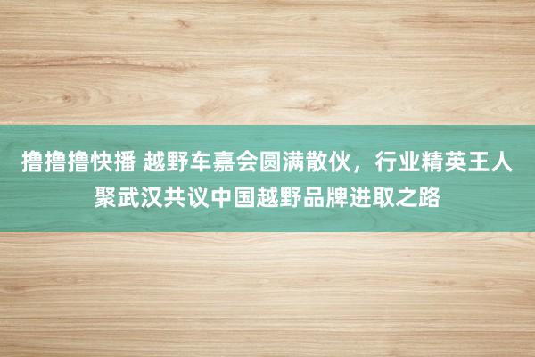 撸撸撸快播 越野车嘉会圆满散伙，行业精英王人聚武汉共议中国越野品牌进取之路