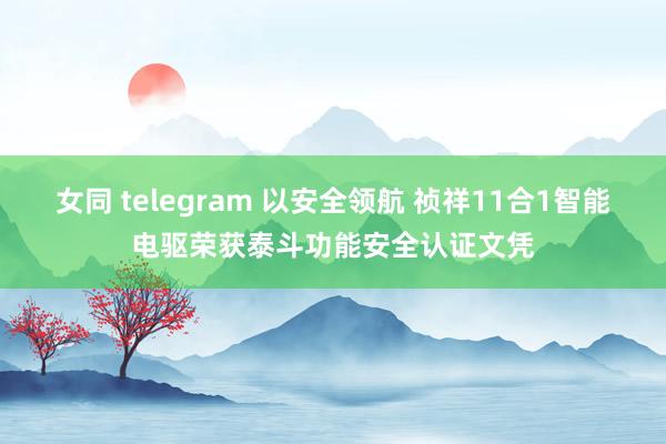 女同 telegram 以安全领航 祯祥11合1智能电驱荣获泰斗功能安全认证文凭