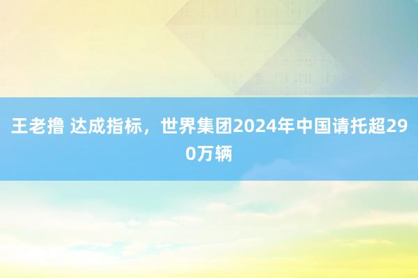 王老撸 达成指标，世界集团2024年中国请托超290万辆