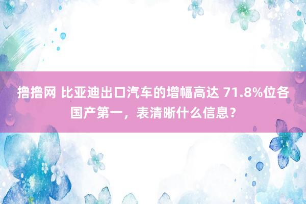 撸撸网 比亚迪出口汽车的增幅高达 71.8%位各国产第一，表清晰什么信息？